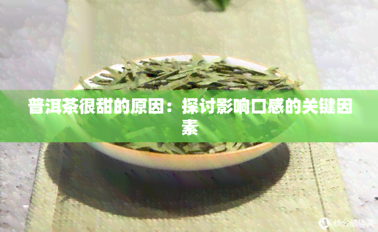 普洱茶很甜的原因：探讨影响口感的关键因素