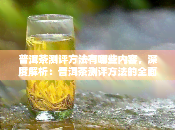 普洱茶测评方法有哪些内容，深度解析：普洱茶测评方法的全面内容