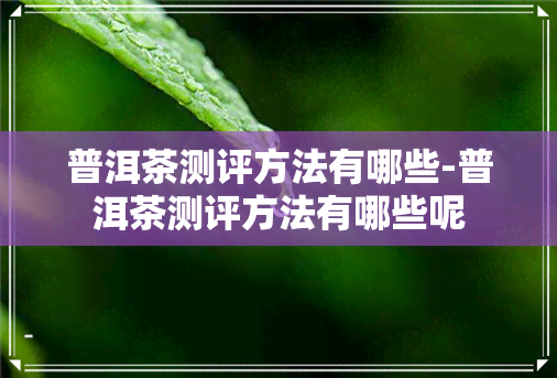 普洱茶测评方法有哪些-普洱茶测评方法有哪些呢