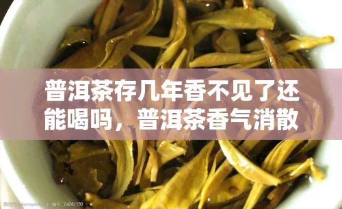 普洱茶存几年香不见了还能喝吗，普洱茶香气消散后是否仍可饮用？