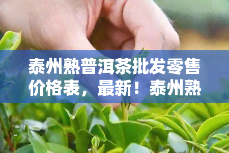 泰州熟普洱茶批发零售价格表，最新！泰州熟普洱茶批发零售价格一览表