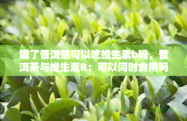 喝了普洱茶可以吃维生素b吗，普洱茶与维生素B：可以同时食用吗？