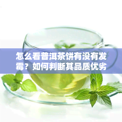 怎么看普洱茶饼有没有发霉？如何判断其品质优劣？