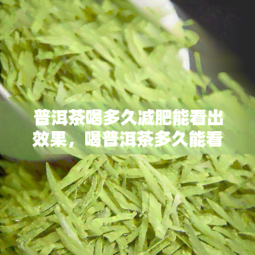 普洱茶喝多久减肥能看出效果，喝普洱茶多久能看到减肥效果？