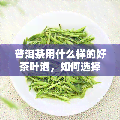 普洱茶用什么样的好茶叶泡，如何选择好的茶叶泡普洱茶？