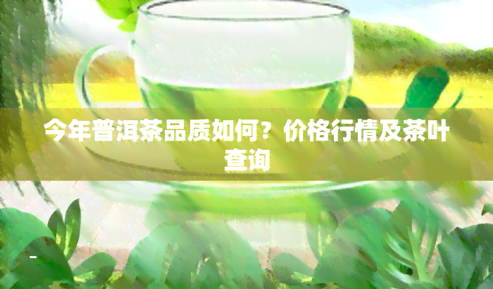 今年普洱茶品质如何？价格行情及茶叶查询