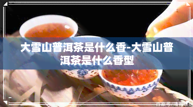 大雪山普洱茶是什么香-大雪山普洱茶是什么香型