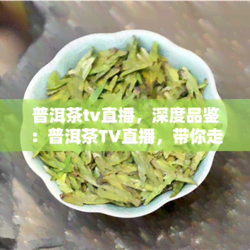 普洱茶tv直播，深度品鉴：普洱茶TV直播，带你走进中国茶文化的魅力世界！