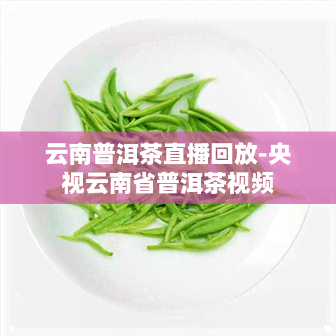 云南普洱茶直播回放-央视云南省普洱茶视频