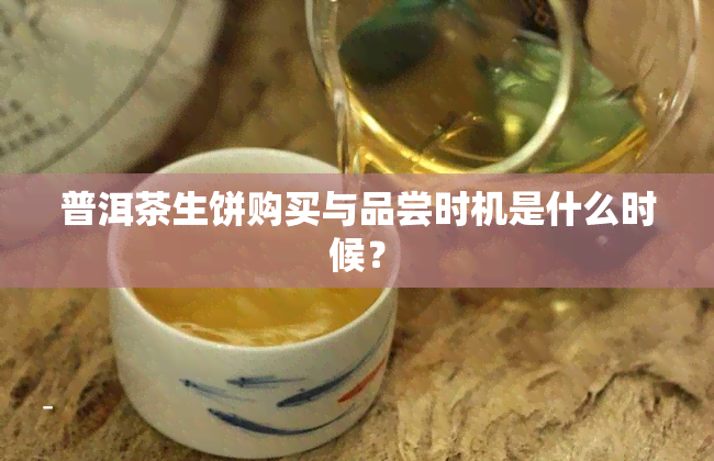 普洱茶生饼购买与品尝时机是什么时候？