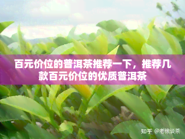 百元价位的普洱茶推荐一下，推荐几款百元价位的优质普洱茶