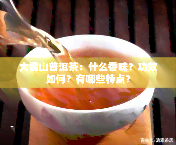 大雪山普洱茶：什么香味？功效如何？有哪些特点？