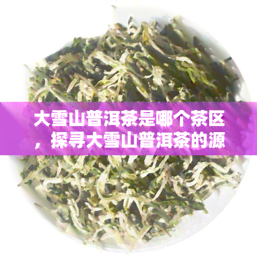 大雪山普洱茶是哪个茶区，探寻大雪山普洱茶的源头：揭秘其所属茶区