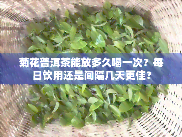 菊花普洱茶能放多久喝一次？每日饮用还是间隔几天更佳？