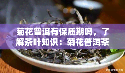 菊花普洱有保质期吗，了解茶叶知识：菊花普洱茶是否有保质期？