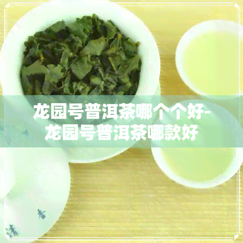 龙园号普洱茶哪个个好-龙园号普洱茶哪款好