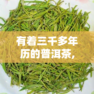 有着三千多年历的普洱茶,主要生产在我国哪个省，探寻千年古韵：中国普洱茶的主要产地在哪个省份？