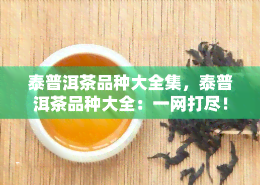 泰普洱茶品种大全集，泰普洱茶品种大全：一网打尽！