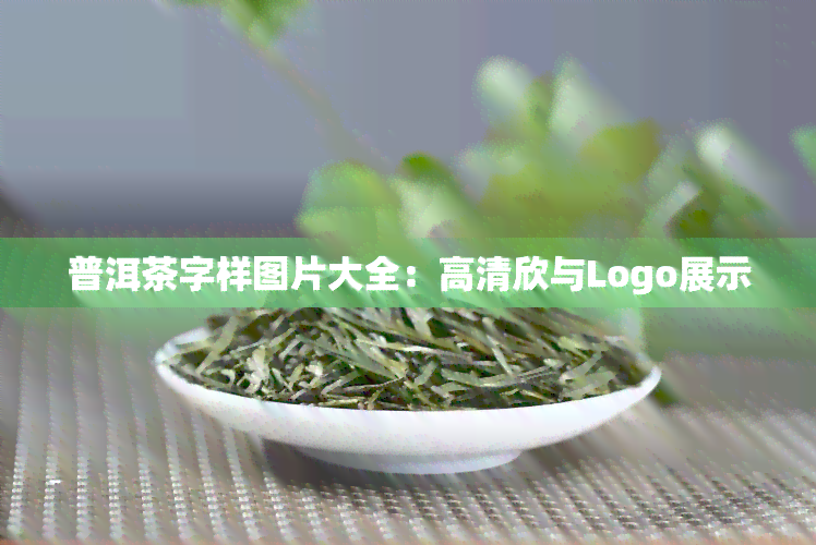 普洱茶字样图片大全：高清欣与Logo展示