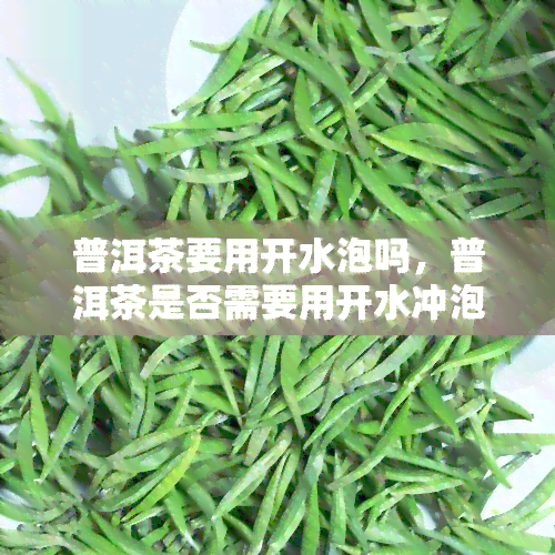 普洱茶要用开水泡吗，普洱茶是否需要用开水冲泡？