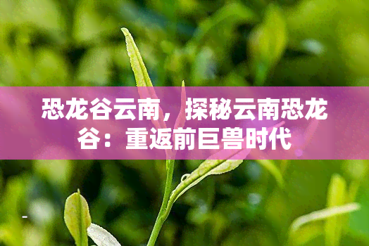 恐龙谷云南，探秘云南恐龙谷：重返前巨兽时代