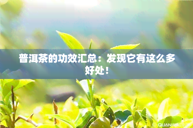 普洱茶的功效汇总：发现它有这么多好处！