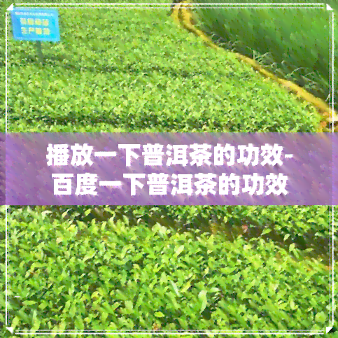 播放一下普洱茶的功效-百度一下普洱茶的功效