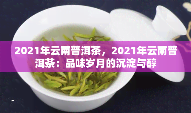 2021年云南普洱茶，2021年云南普洱茶：品味岁月的沉淀与醇