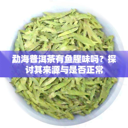 勐海普洱茶有腥味吗？探讨其来源与是否正常