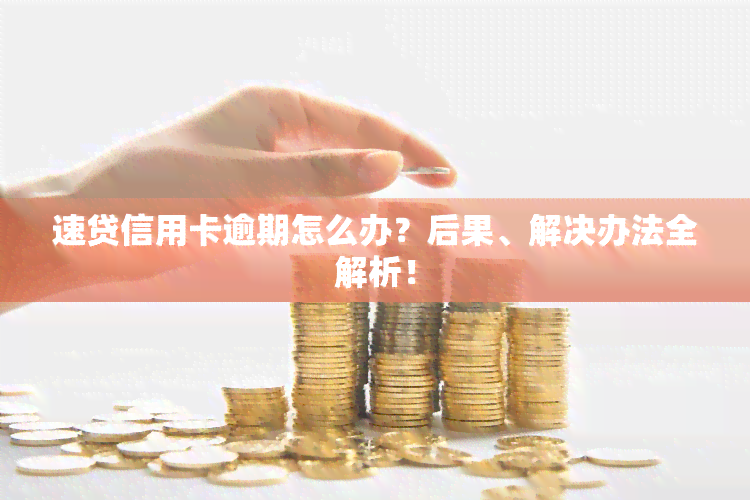 速贷信用卡逾期怎么办？后果、解决办法全解析！