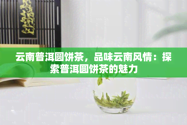 云南普洱圆饼茶，品味云南风情：探索普洱圆饼茶的魅力