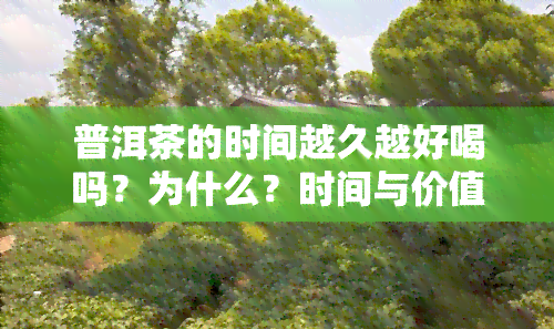 普洱茶的时间越久越好喝吗？为什么？时间与价值的关系又是怎样的？