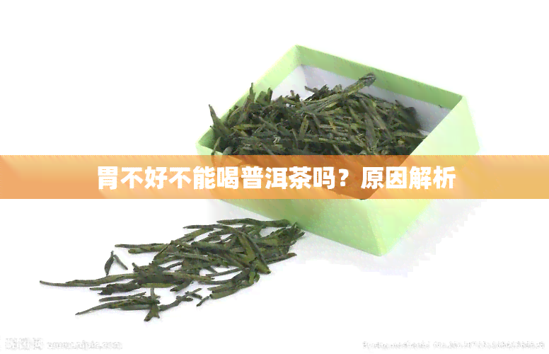 胃不好不能喝普洱茶吗？原因解析