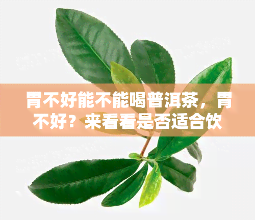 胃不好能不能喝普洱茶，胃不好？来看看是否适合饮用普洱茶！