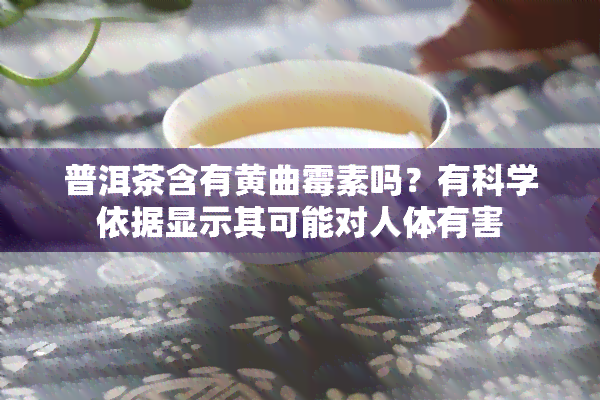 普洱茶含有黄曲霉素吗？有科学依据显示其可能对人体有害