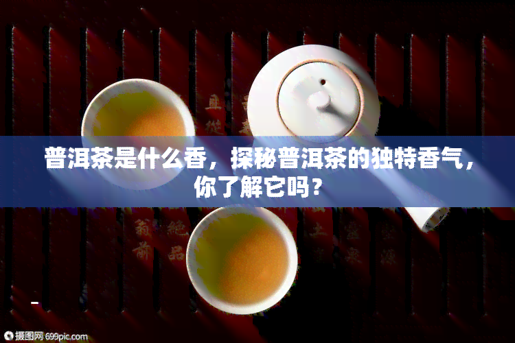 普洱茶是什么香，探秘普洱茶的独特香气，你了解它吗？