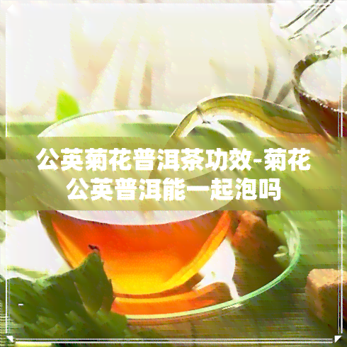 公英菊花普洱茶功效-菊花公英普洱能一起泡吗