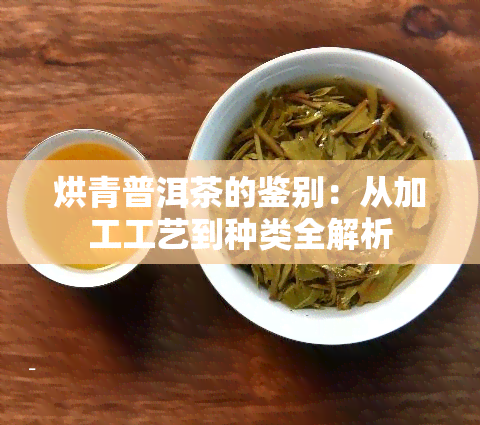 烘青普洱茶的鉴别：从加工工艺到种类全解析