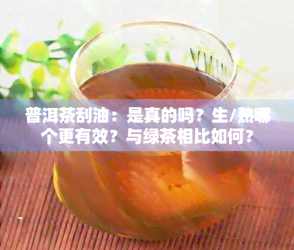 普洱茶刮油：是真的吗？生/熟哪个更有效？与绿茶相比如何？