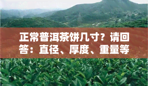 正常普洱茶饼几寸？请回答：直径、厚度、重量等信息