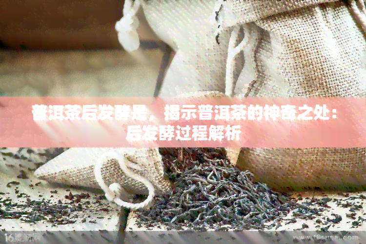 普洱茶后发酵是，揭示普洱茶的神奇之处：后发酵过程解析