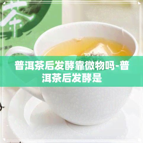 普洱茶后发酵靠微物吗-普洱茶后发酵是