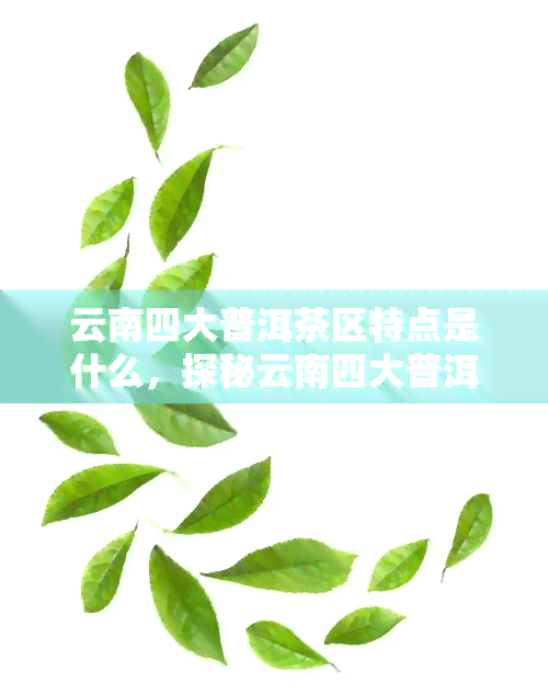 云南四大普洱茶区特点是什么，探秘云南四大普洱茶区：各有千秋的特点与魅力