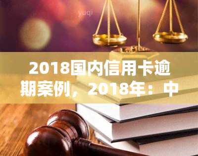 2018国内信用卡逾期案例，2018年：中国信用卡逾期情况深度解析