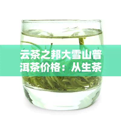 云茶之邦大雪山普洱茶价格：从生茶到茶饼全解析