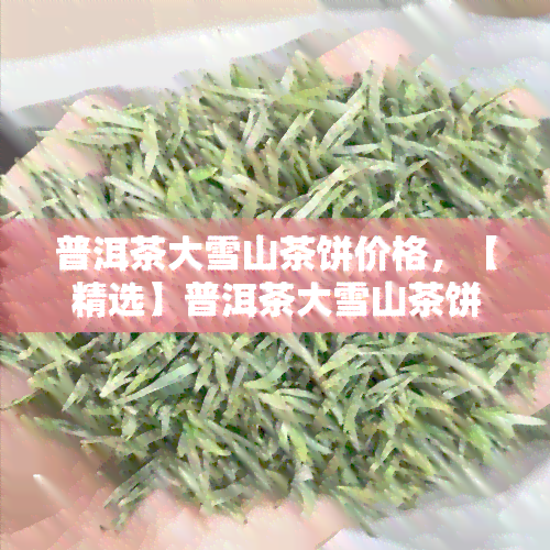 普洱茶大雪山茶饼价格，【精选】普洱茶大雪山茶饼价格，买就送茶刀，好喝不上火，真正的云南古树茶！