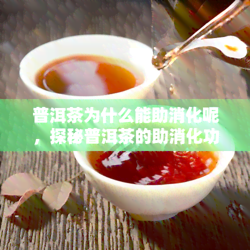 普洱茶为什么能助消化呢，探秘普洱茶的助消化功效