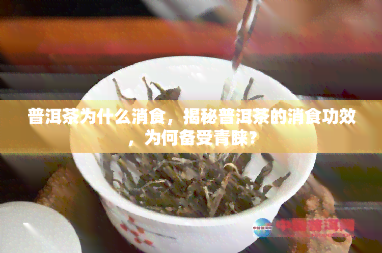 普洱茶为什么消食，揭秘普洱茶的消食功效，为何备受青睐？