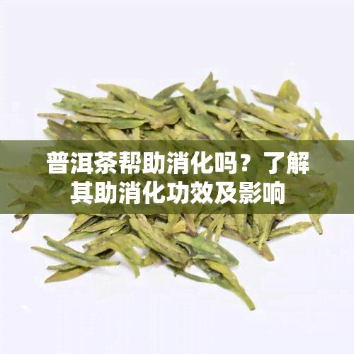 普洱茶帮助消化吗？了解其助消化功效及影响