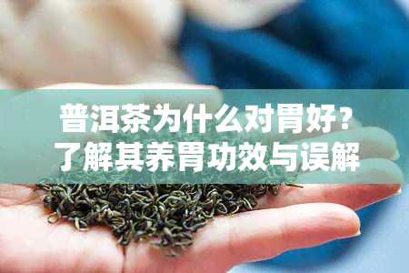 普洱茶为什么对胃好？了解其养胃功效与误解